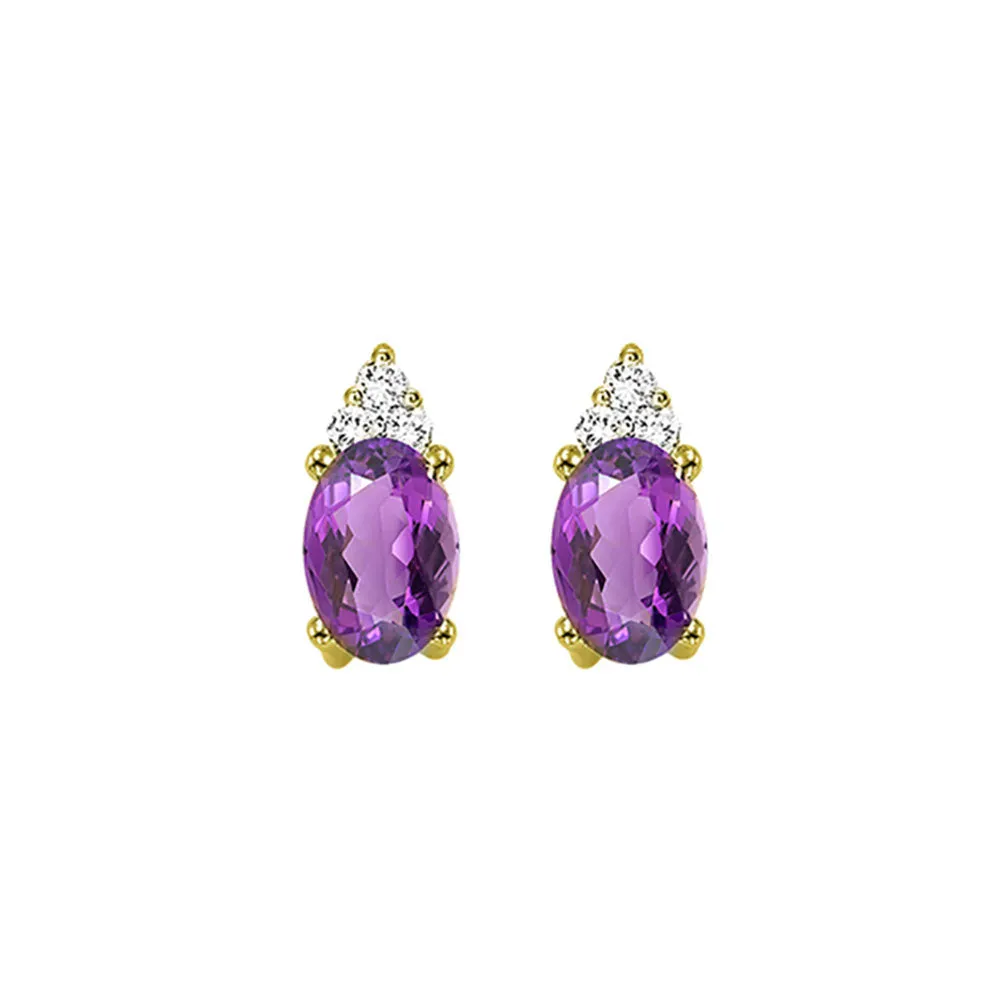 10Kt Yellow Gold Diamond 1/20Ctw & Amethyst 5/8Ctw Earring