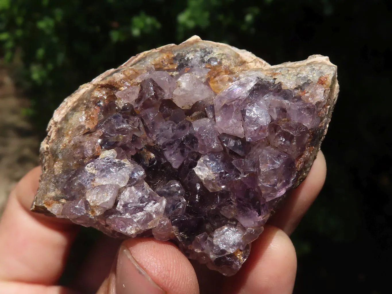 Natural Dark Amethyst Geode Specimens x 24 From Zululand, South Africa