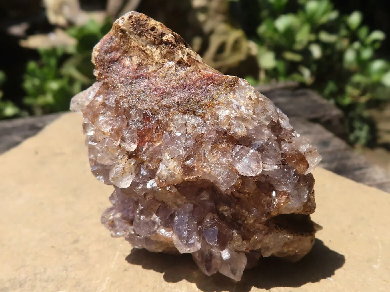 Natural Dark Amethyst Geode Specimens x 24 From Zululand, South Africa