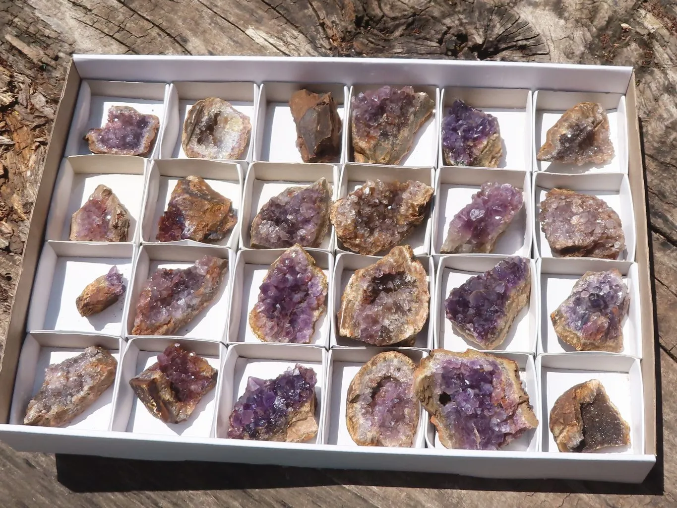 Natural Dark Amethyst Geode Specimens x 24 From Zululand, South Africa