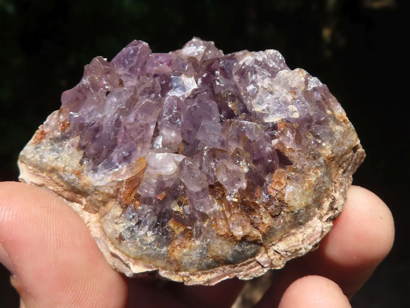 Natural Dark Amethyst Geode Specimens x 24 From Zululand, South Africa