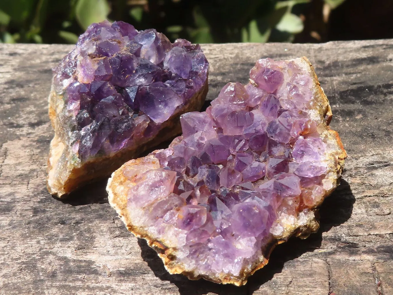 Natural Dark Amethyst Geode Specimens x 24 From Zululand, South Africa