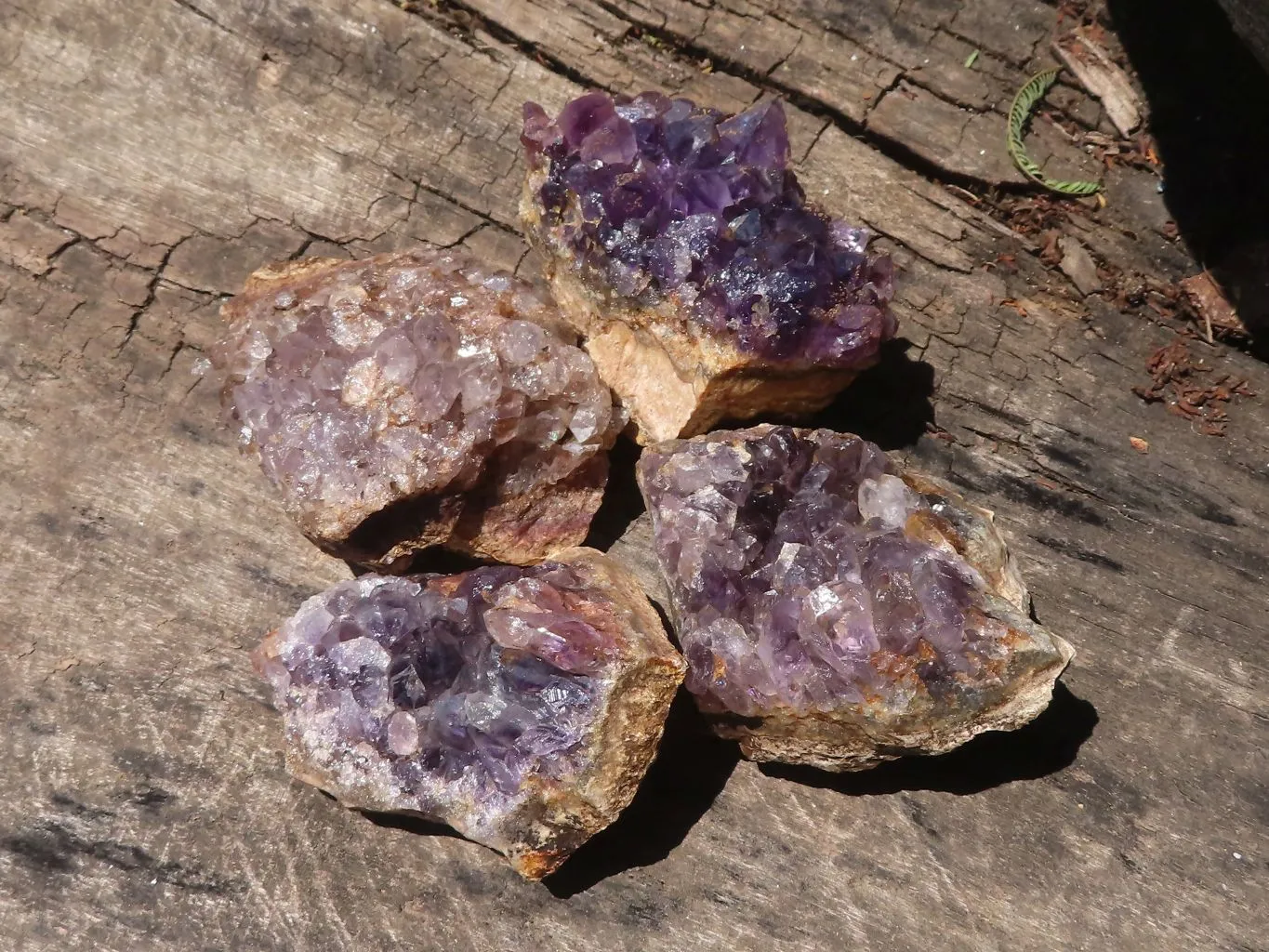 Natural Dark Amethyst Geode Specimens x 24 From Zululand, South Africa