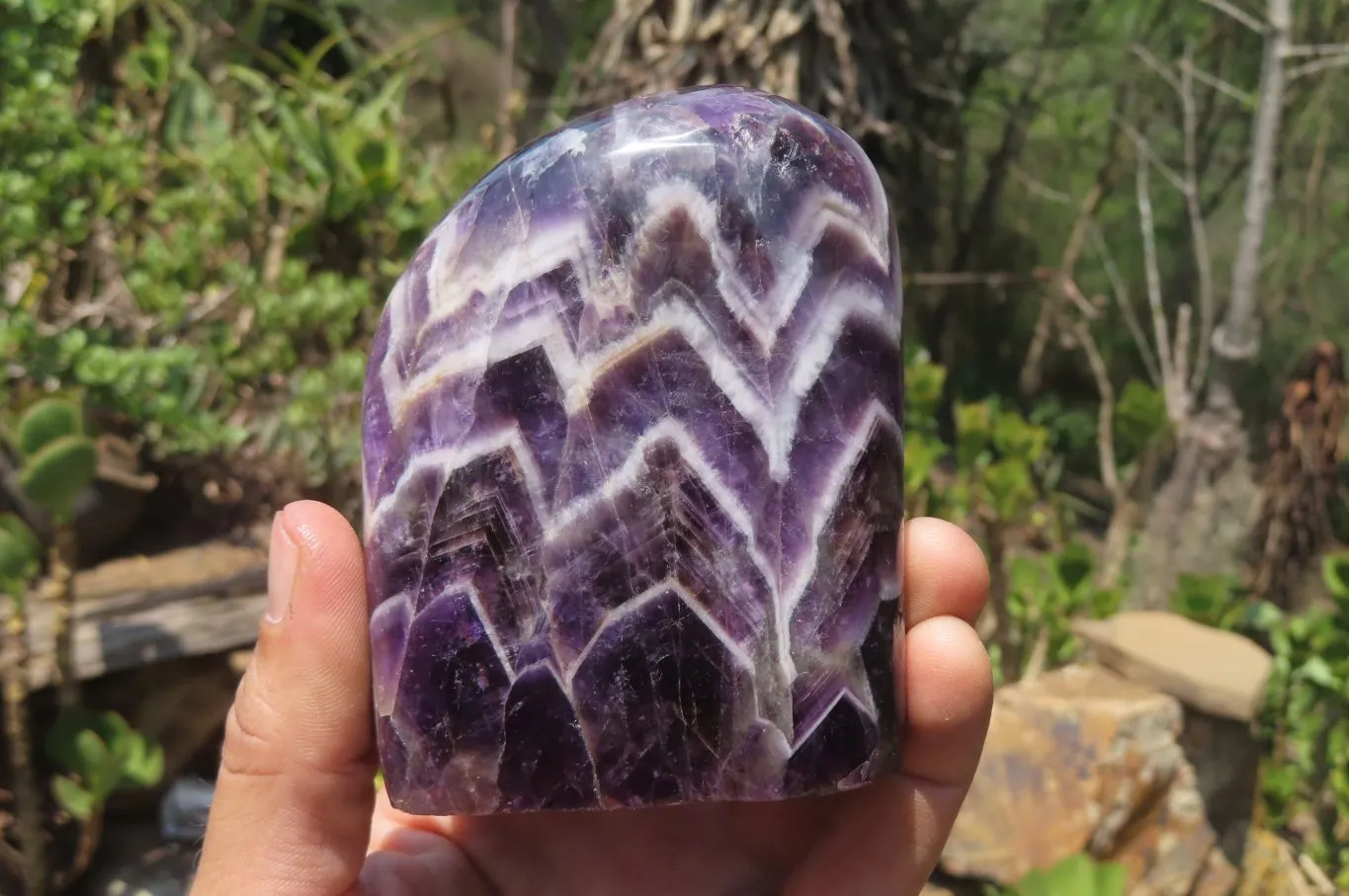 Polished Chevron Amethyst Standing Free Forms x 2 from Zambia