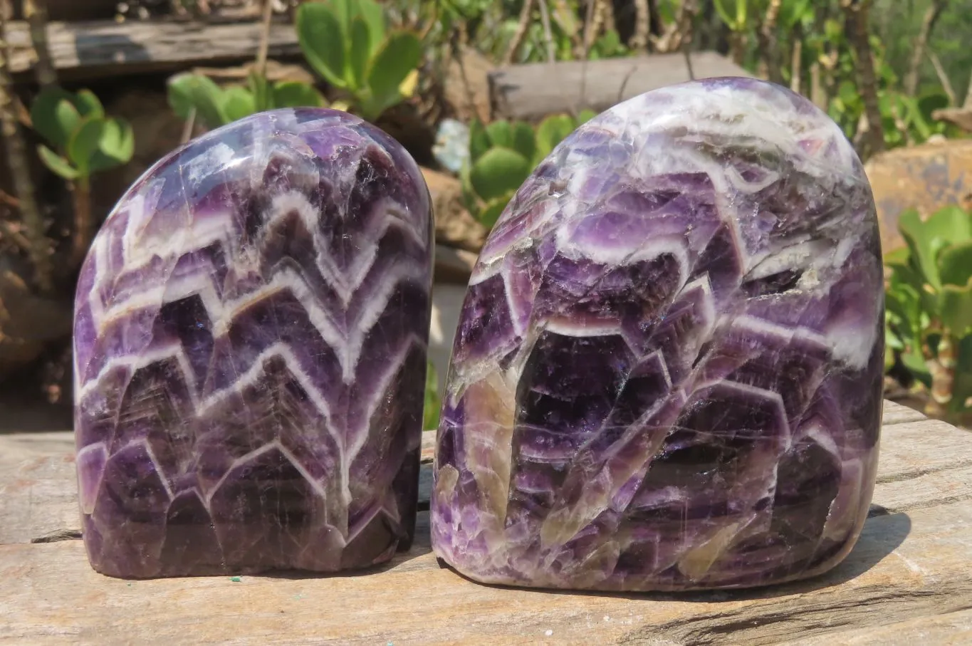 Polished Chevron Amethyst Standing Free Forms x 2 from Zambia