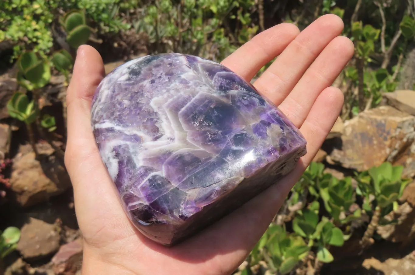 Polished Chevron Amethyst Standing Free Forms x 2 from Zambia