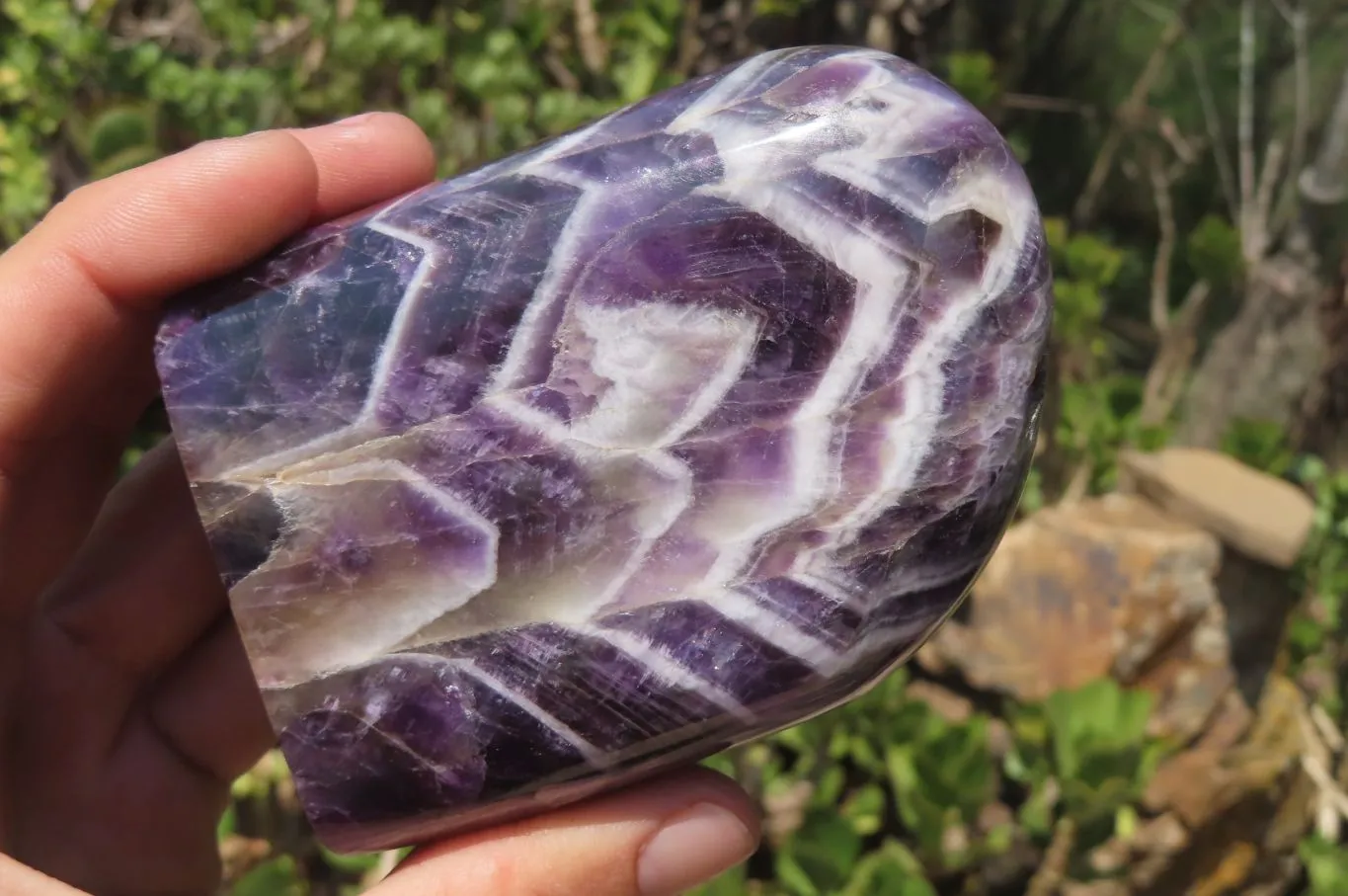 Polished Chevron Amethyst Standing Free Forms x 2 from Zambia