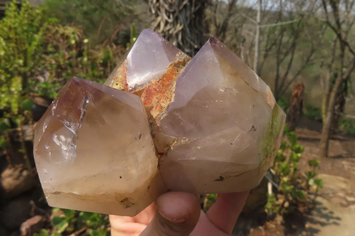 Polished Smokey Amethyst Window Quartz Crystals x 2 From Madagascar