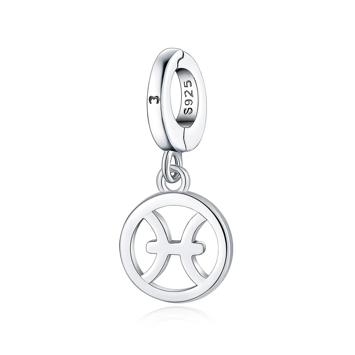 "Circular Zodiac" Charm