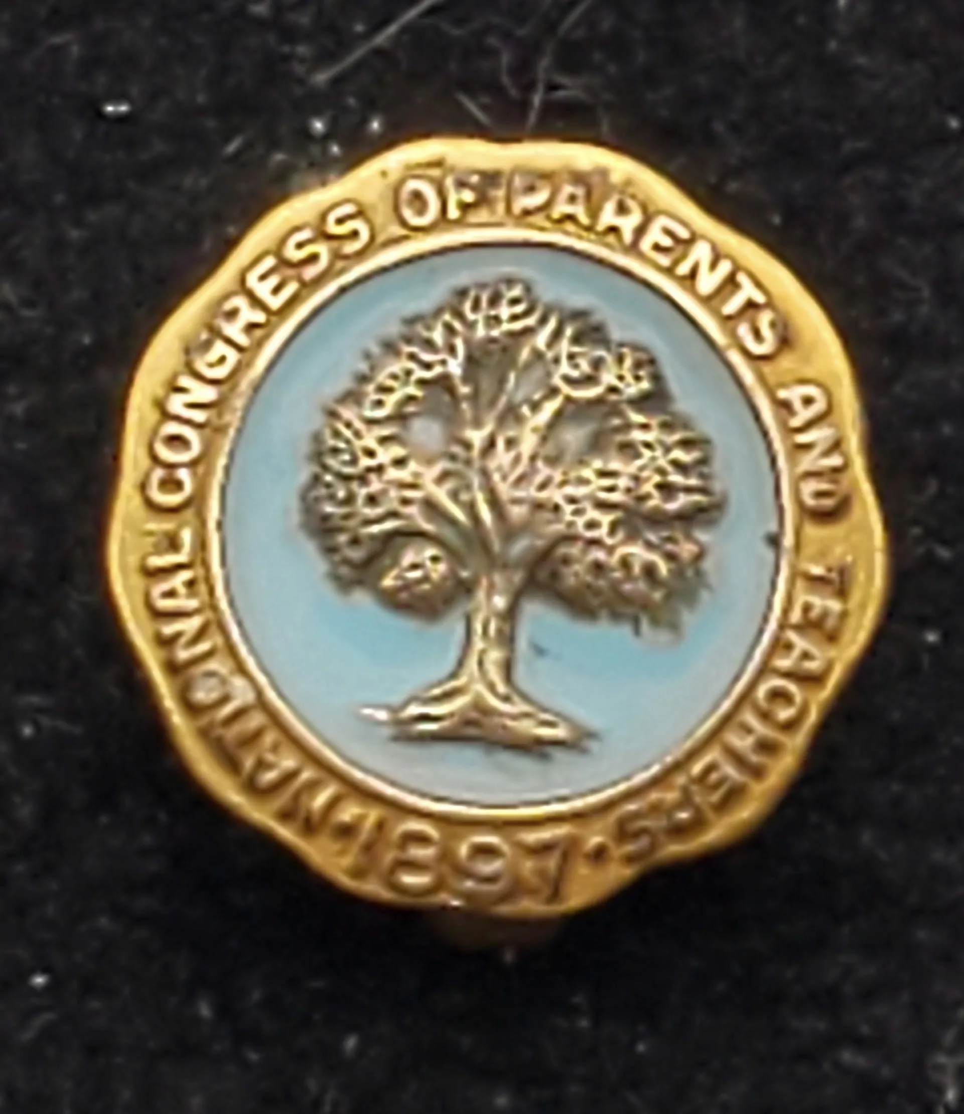 Vintage 10k Gold Filled and Enamel National Congress of Teachers and Parents Lapel Pin