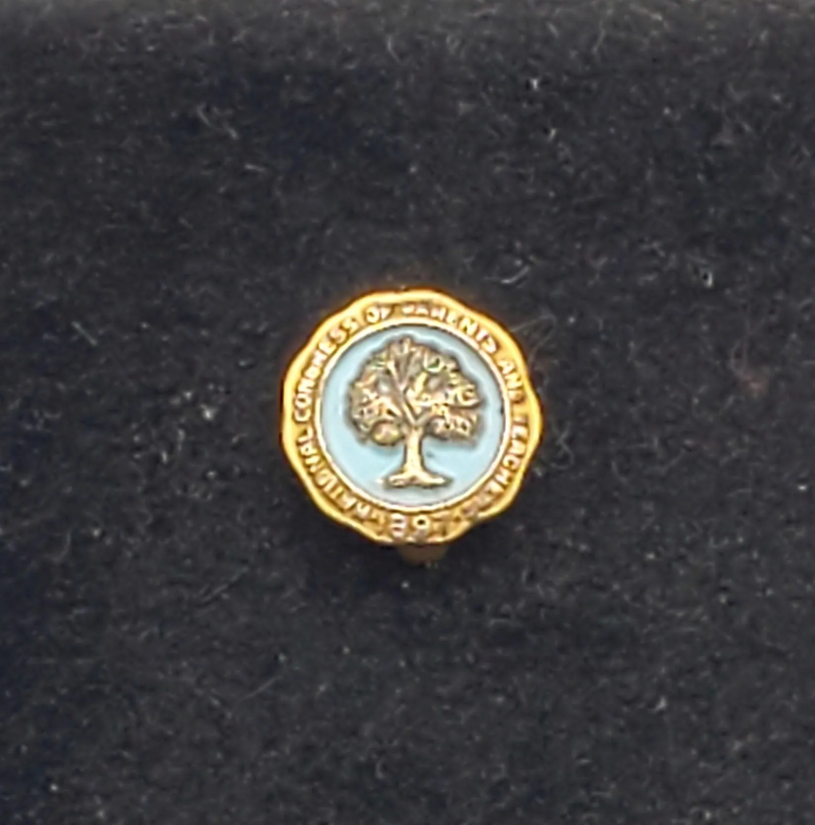 Vintage 10k Gold Filled and Enamel National Congress of Teachers and Parents Lapel Pin