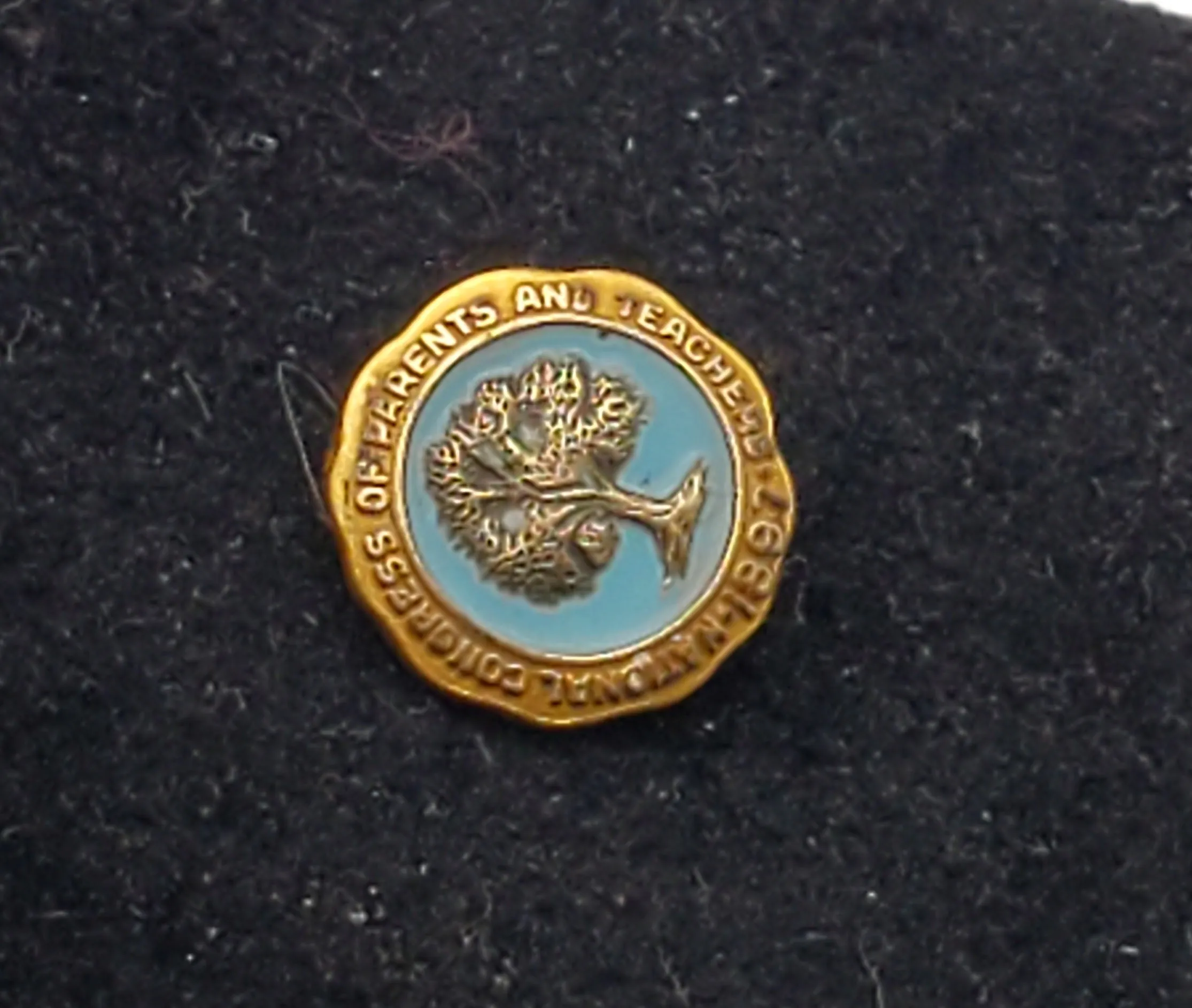 Vintage 10k Gold Filled and Enamel National Congress of Teachers and Parents Lapel Pin